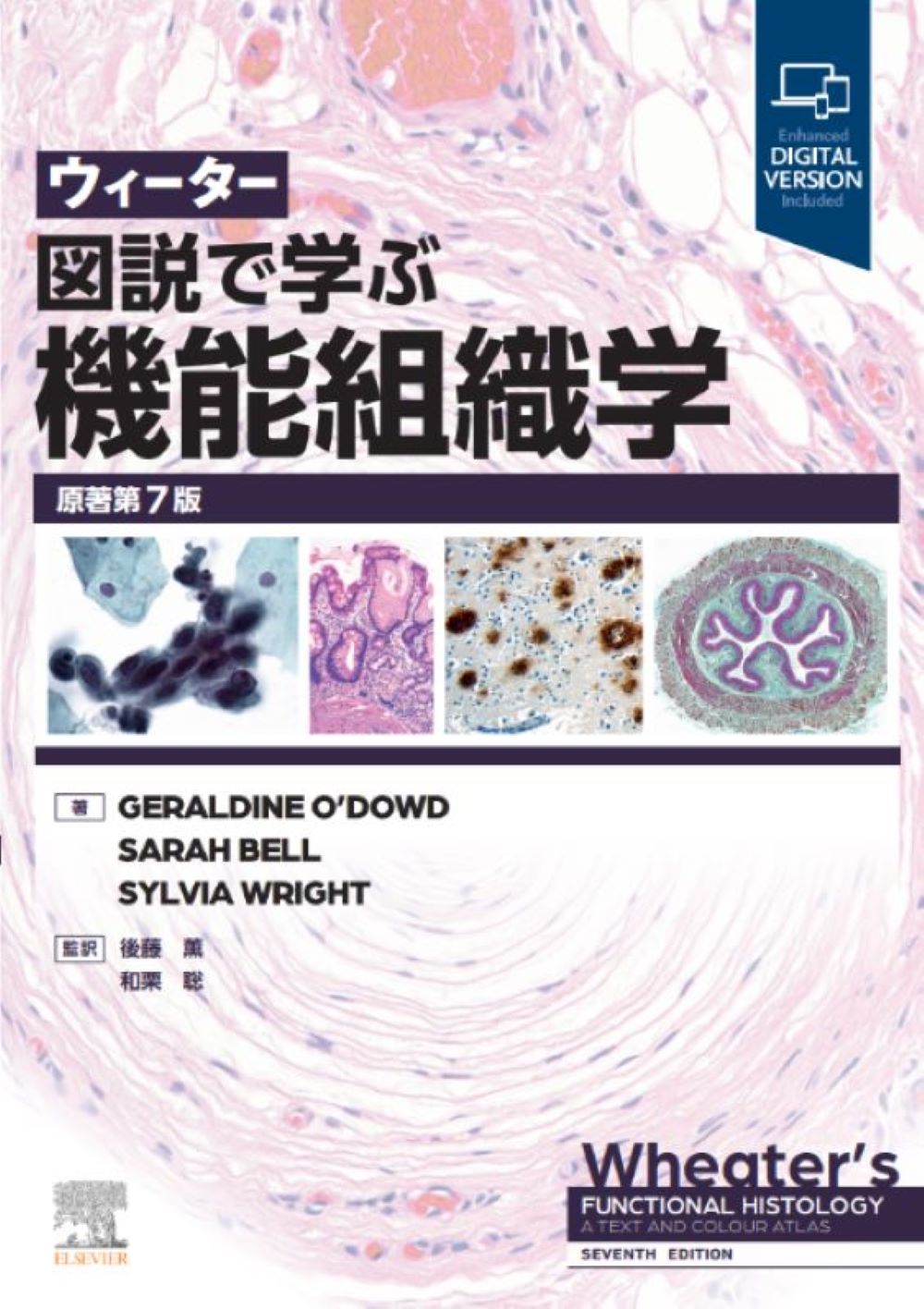 ウィーター図説で学ぶ機能組織学 原著第７版/エルゼビア・ジャパン/ジェラルディン・オダウド
