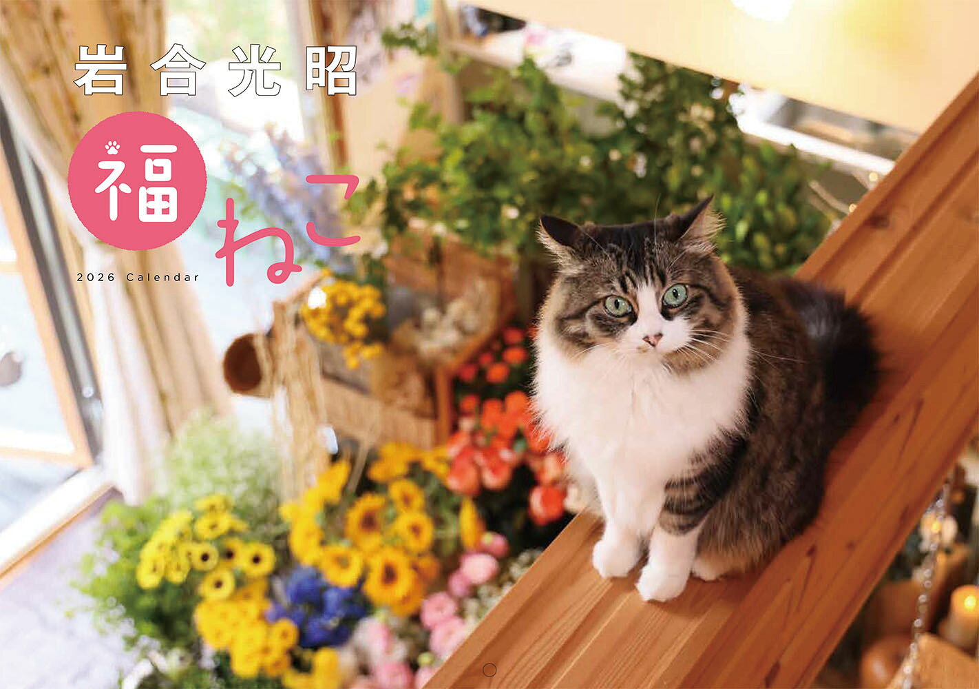 岩合光昭　福ねこカレンダー ２０２６年/神宮館/岩合光昭