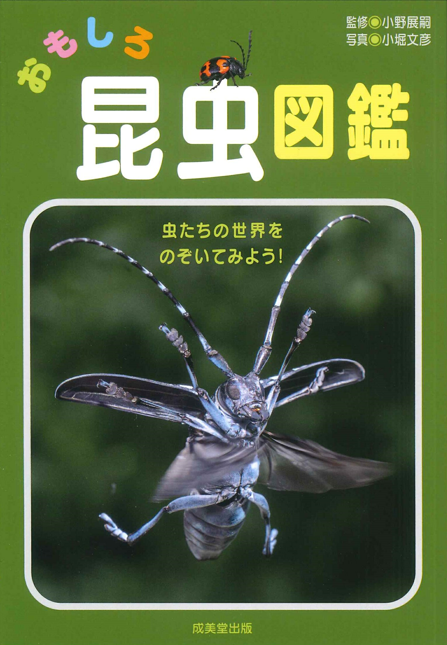 昆虫おもしろブック - 驚き!!ムシたちのとんでもない生き方 ⁄ 驚き!!ムシたちの 主婦と生活社 昆虫おもしろブック: 驚きムシたちのとんでもない生き方 (主婦と生活社TODAY BOOKS) 昆虫おもしろブック - 驚き!!ムシたちのとんでもない生き方 ⁄ 驚き!!ムシたちの 主婦と生活社 昆虫おもしろブック: 驚きムシたちのとんでもない生き方 (主婦と生活社TODAY BOOKS)