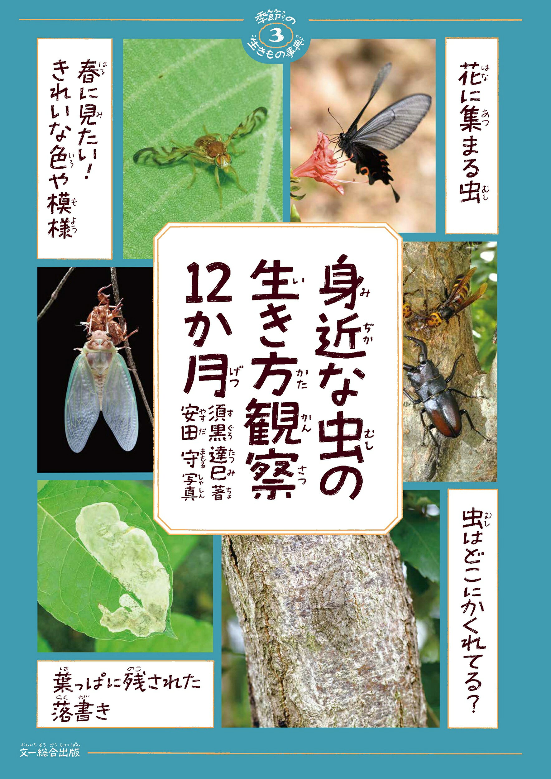 身近な虫の生き方観察１２か月/文一総合出版/須黒達巳