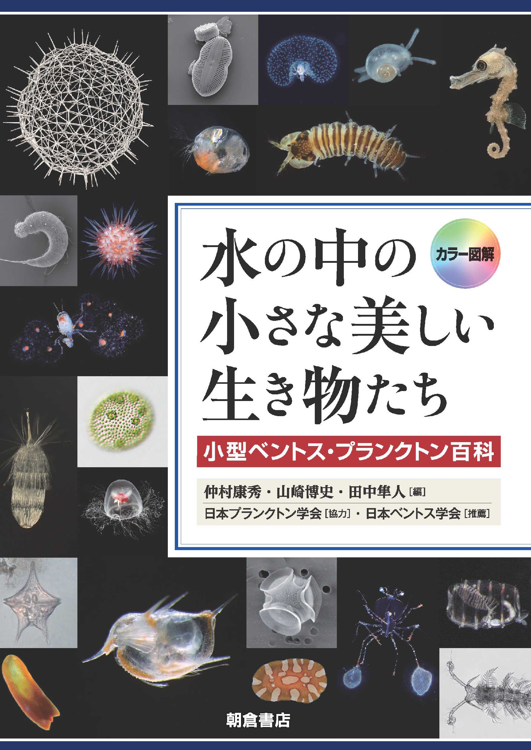 カラー図解　水の中の小さな美しい生き物たち 小型ベントス・プランクトン百科/朝倉書店/仲村康秀