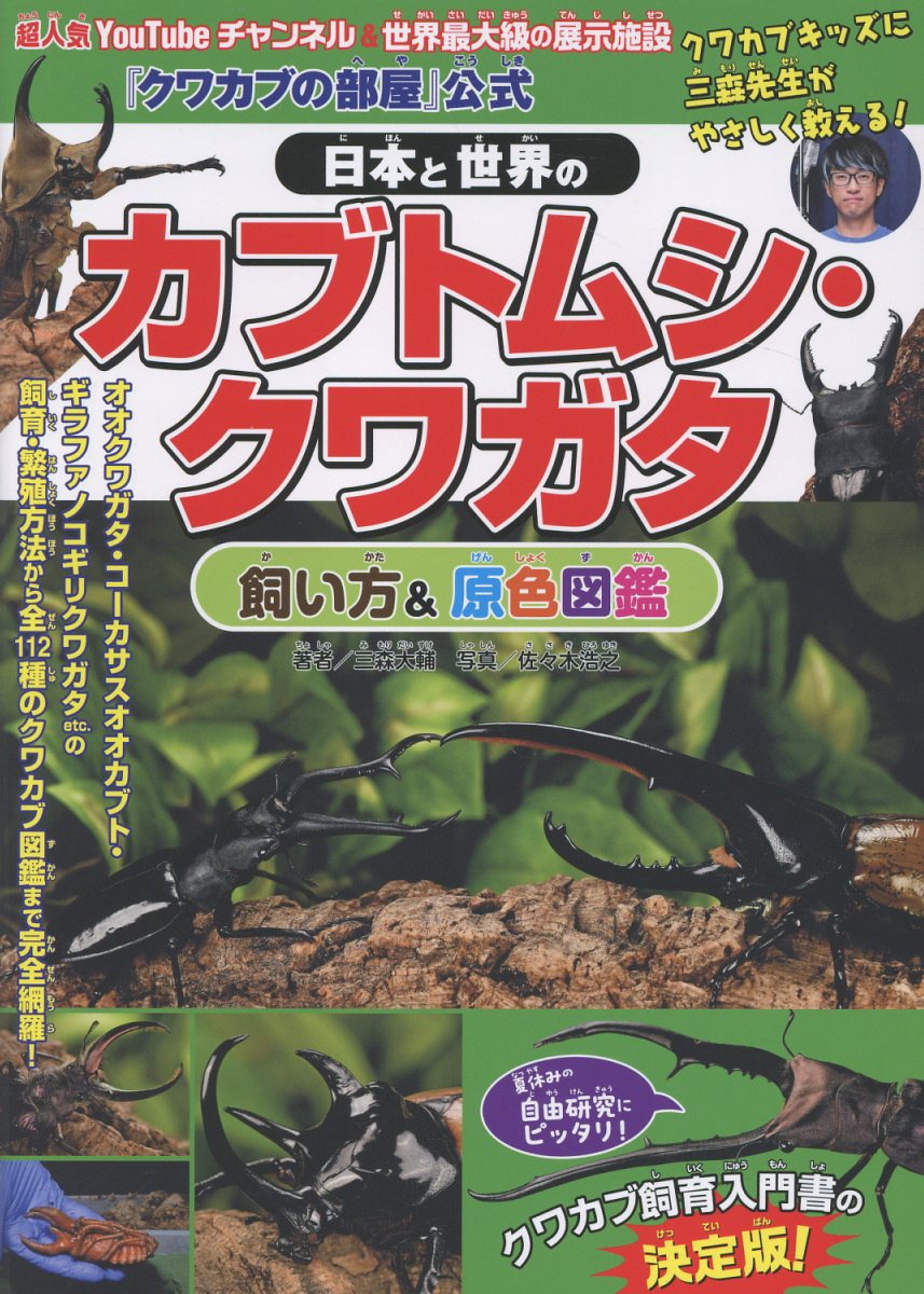 【輸入本】タイの専門書【クワガタ】 楽天市場】電波実験社 日本と世界のカブトムシ・クワガタ飼い方＆原色
