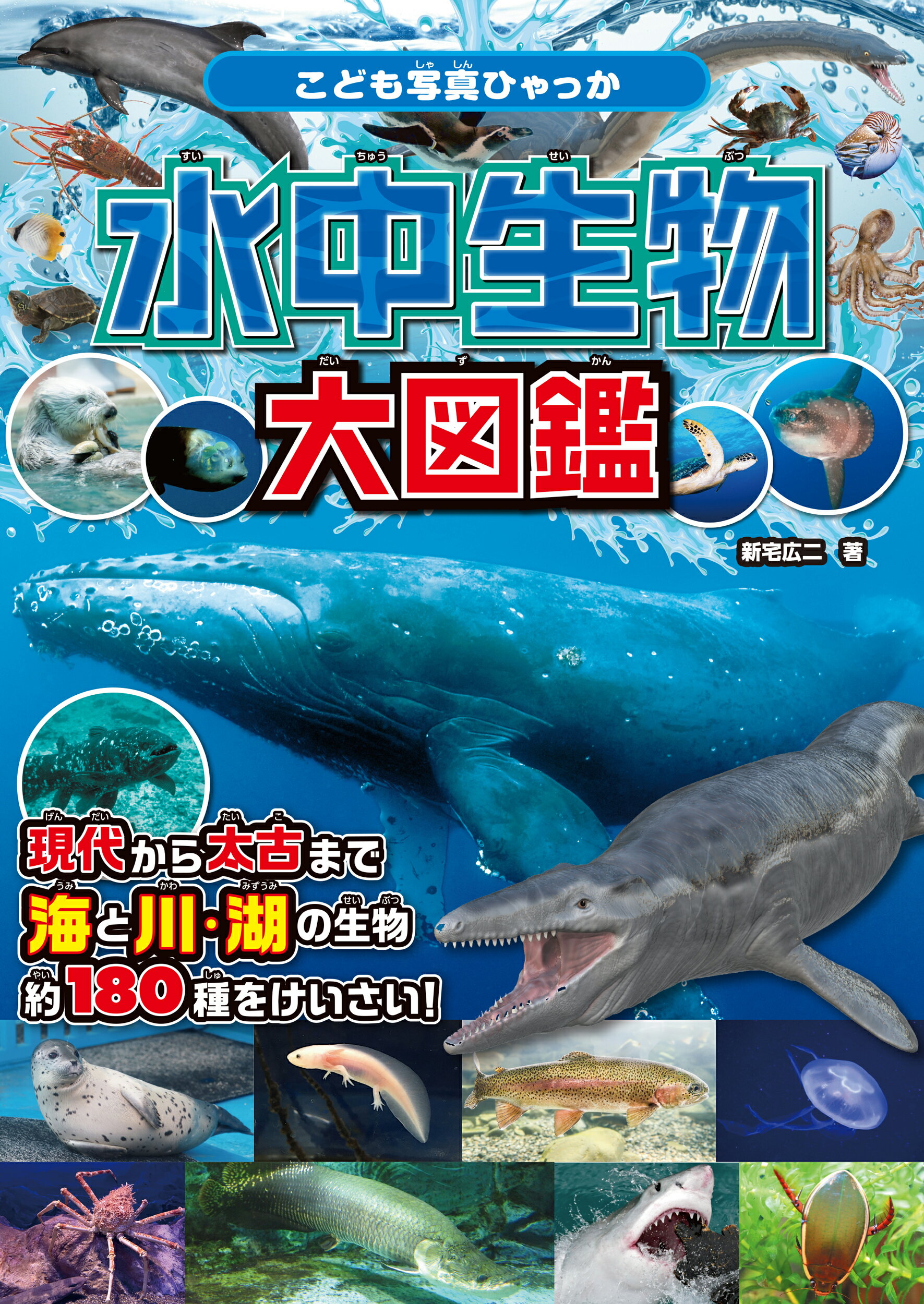 楽天市場】永岡書店 危険生物vs恐竜・古生物〈水中王〉超バトル図鑑