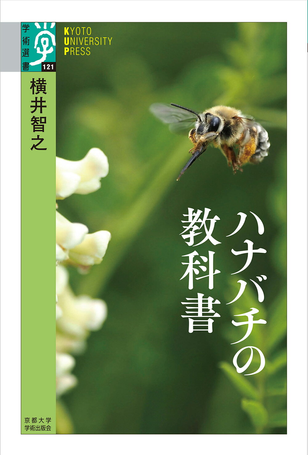 【中古】 ウニ学/東海大学出版部/本川達雄 中古本】ウニ学 - メルカリ