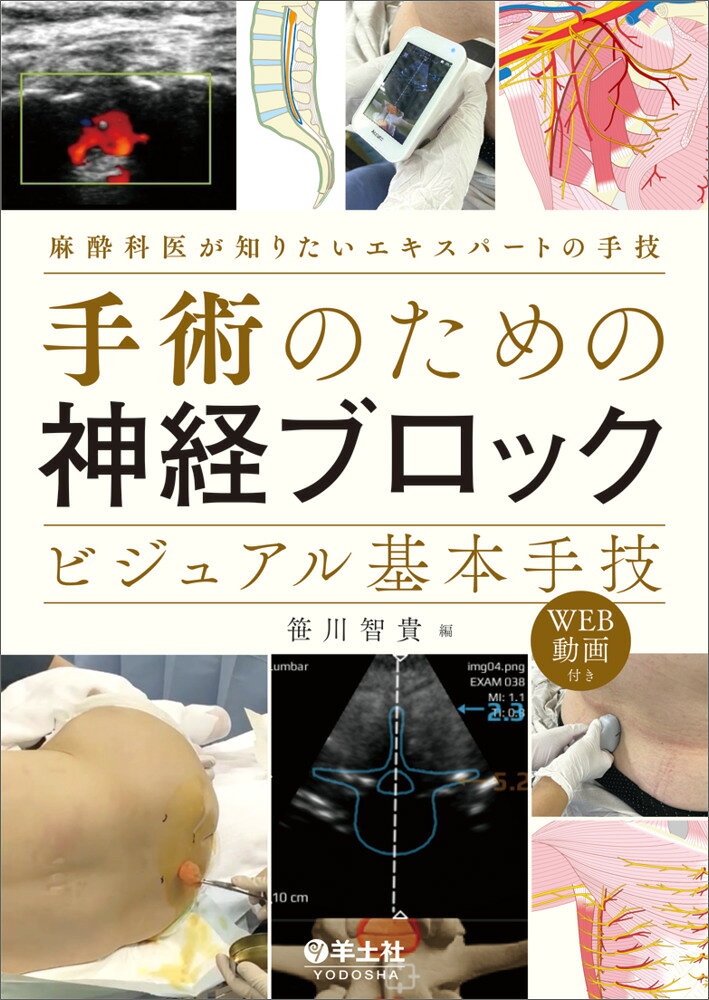 楽天市場】健康実践研究所 科学的エビデンスが乳酸菌生産物質の謎を