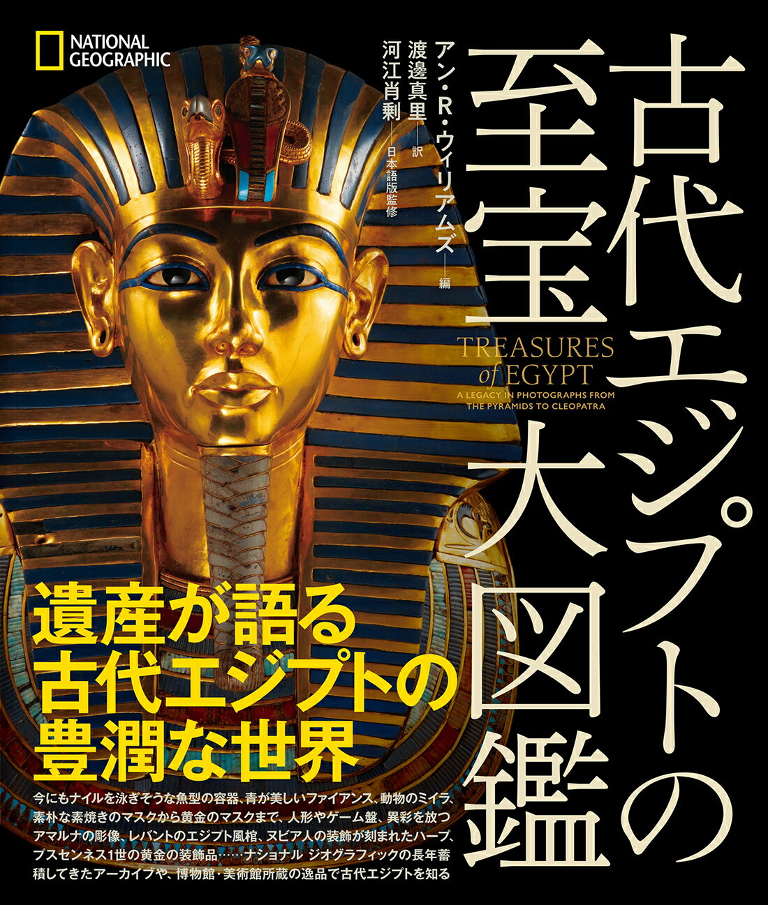 A   生きるための日本史 あなたを苦しめる〈立場〉主義の正体 生きるための日本史 | 安冨 歩 |本 | 通販 | Amazon