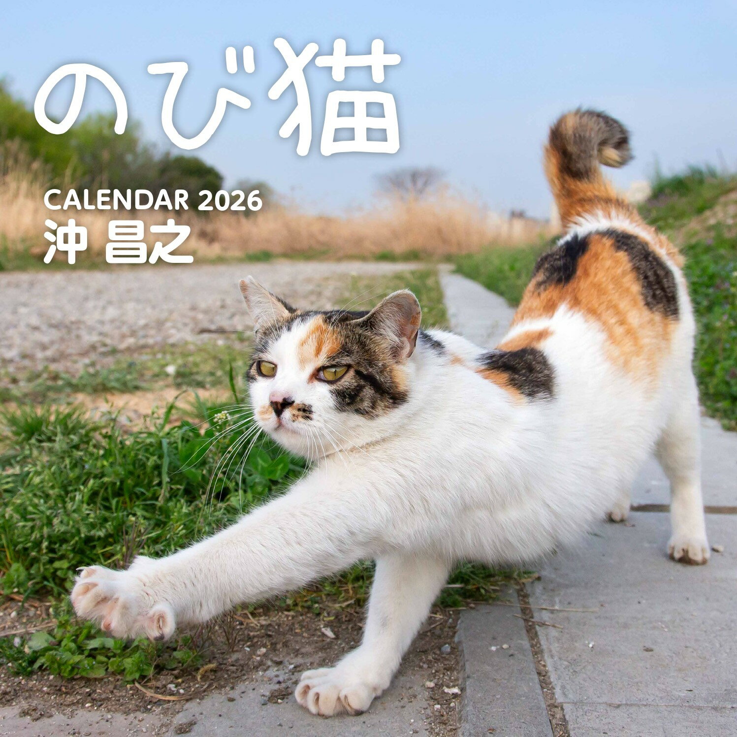 楽天市場】ハゴロモ 壁掛けカレンダー2026年 2026 Calendar にゃんたま