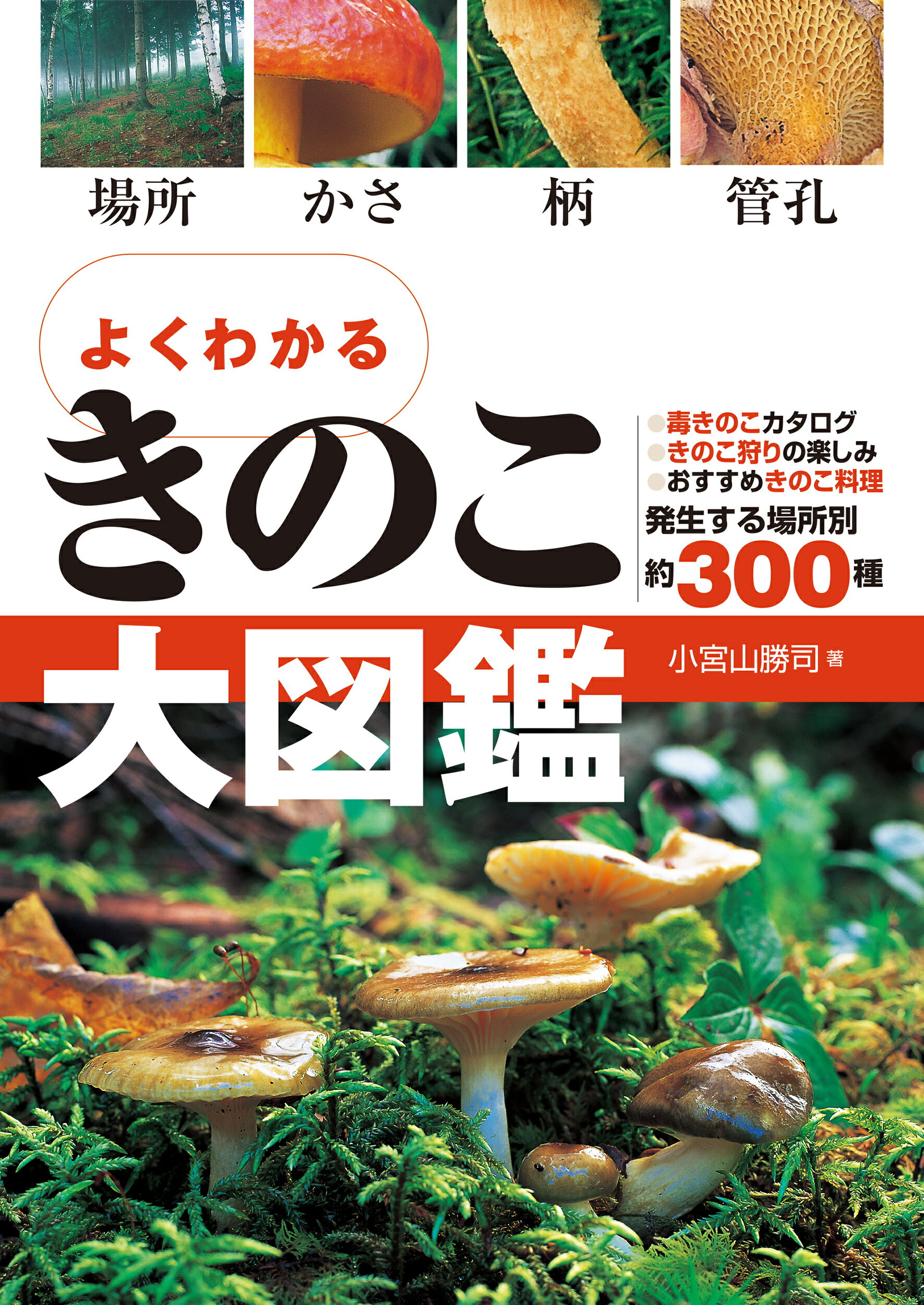 楽天市場】旺文社 身近な野草とキノコ 花のつくりがよくわかる