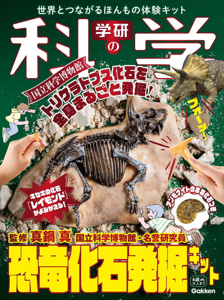 楽天市場】偕成社 教科書にのってるどうぶつの赤ちゃん（全6巻セット