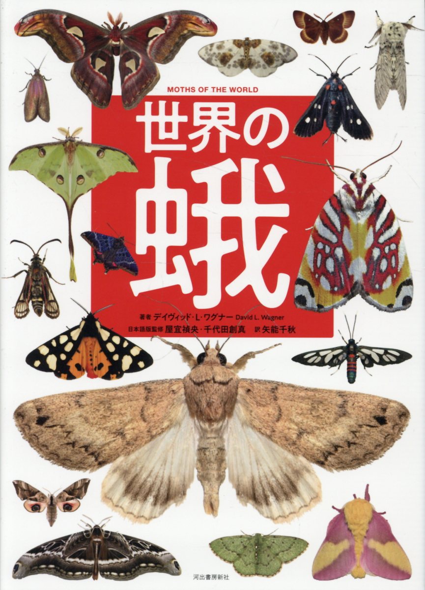 世界の蛾/河出書房新社/デイヴィッド・Ｌ．ワグナー