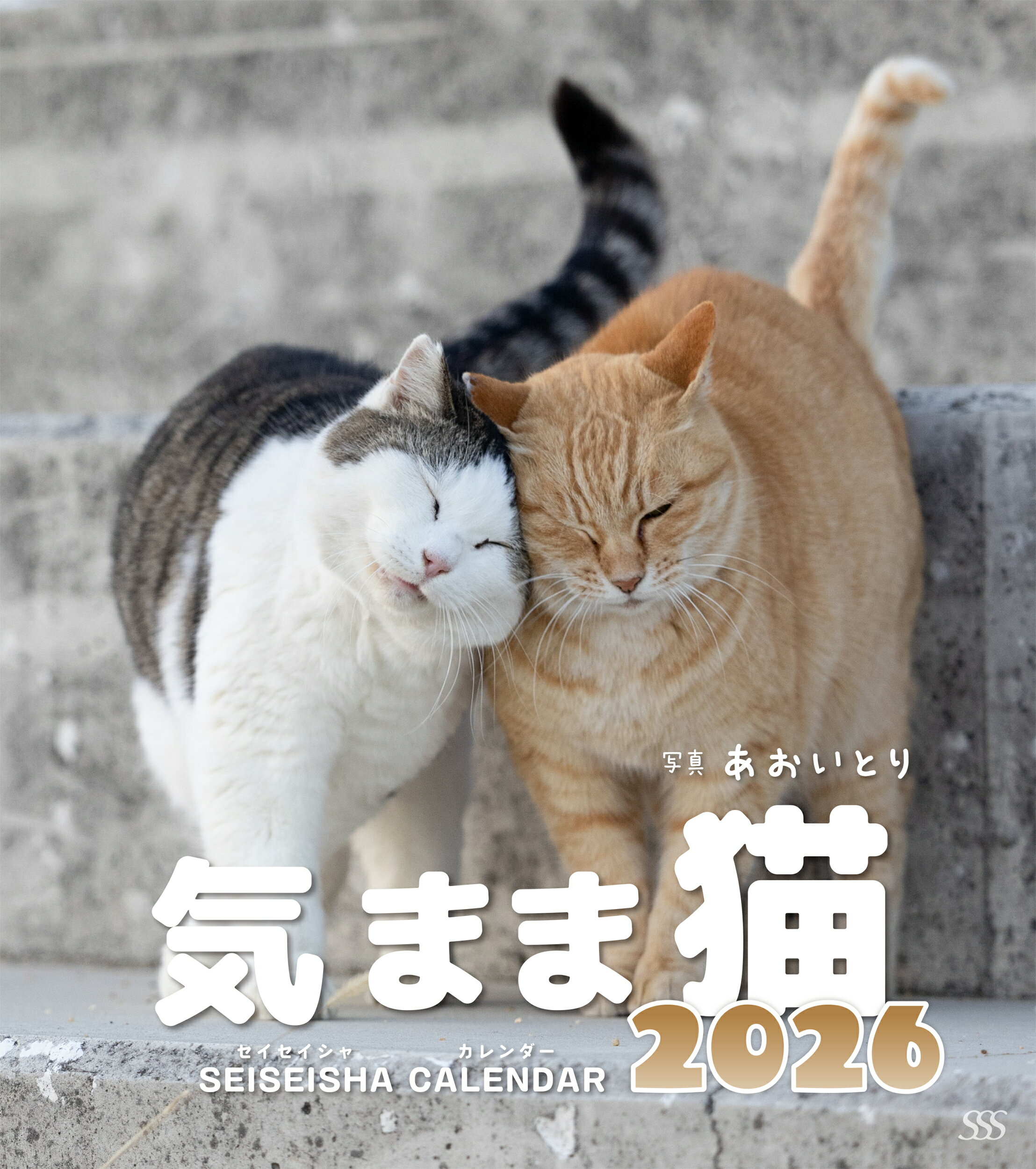 楽天市場】ハゴロモ 壁掛けカレンダー2026年 2026 Calendar にゃんたま