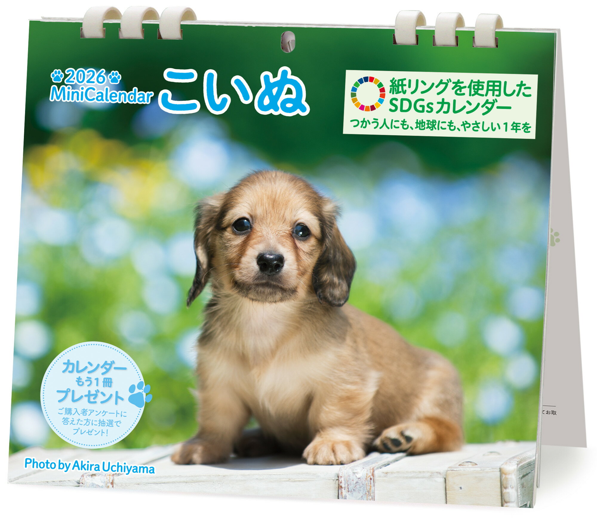 ミニカレンダーこいぬ ２０２６/労働教育センタ-/内山晟