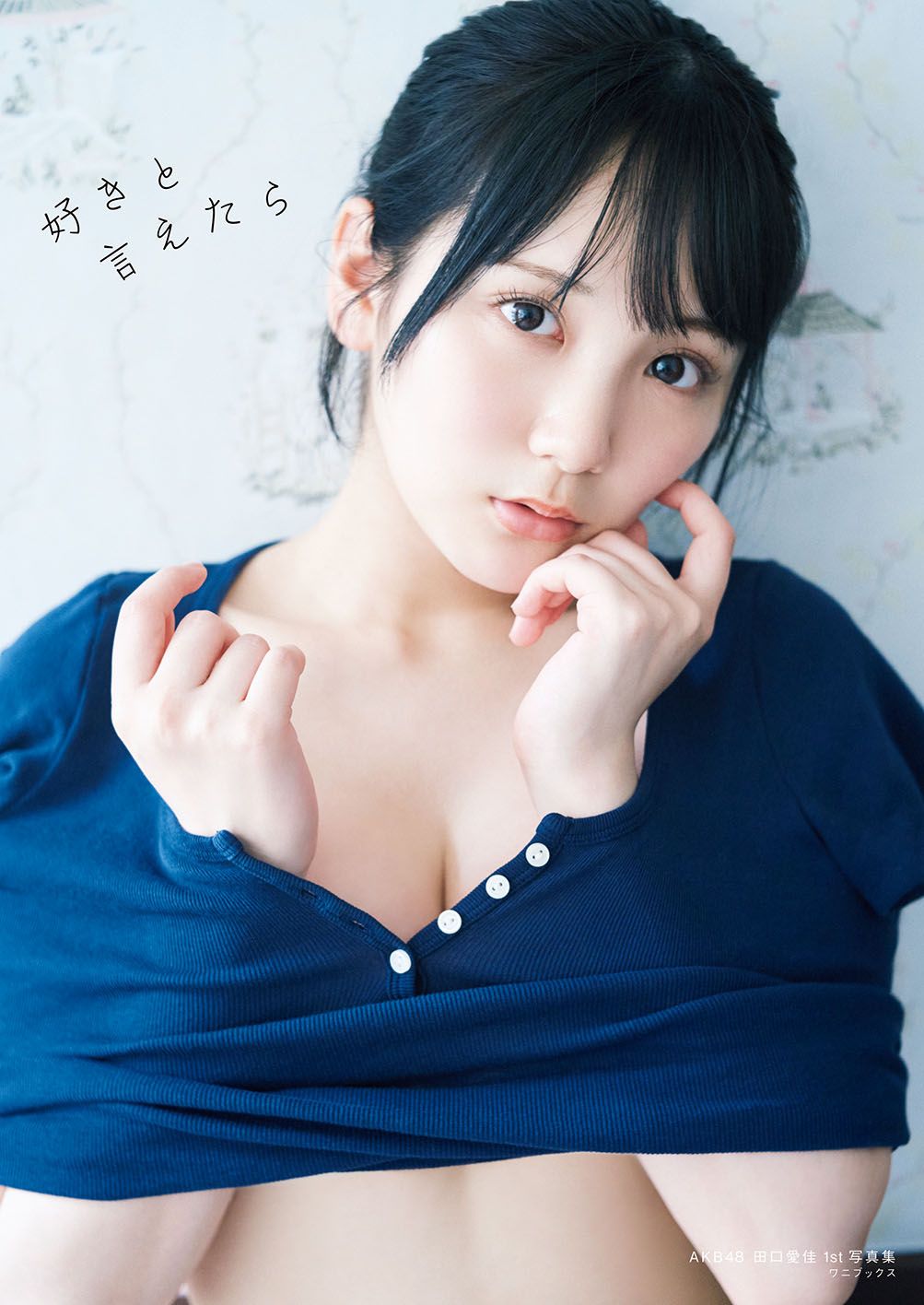 ＡＫＢ４８田口愛佳１ｓｔ写真集『好きと言えたら』/ワニブックス/藤原宏