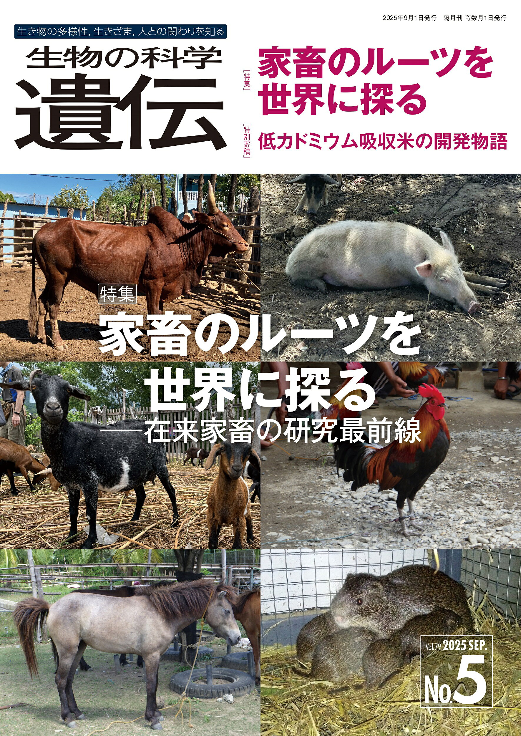 生物の科学遺伝 生き物の多様性、生きざま、人との関わりを知る Ｖｏｌ．７９　Ｎｏ．５（２０２/エヌ・ティ-・エス/遺伝学普及会