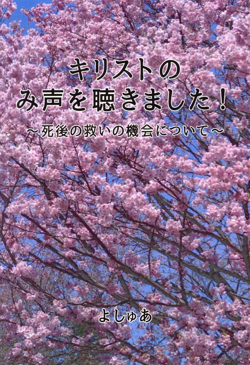 キリストのみ声を聴きました！ 死後の救いの機会について/はるかぜ書房/よしゅあ