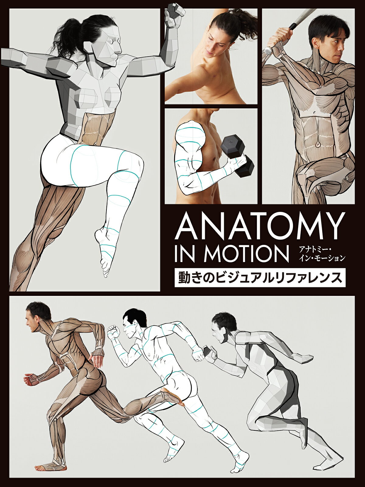 アーティストのための人体解剖学ビジュアルリファレンス アーティストのための人体解剖学ビジュアルリファレンス |