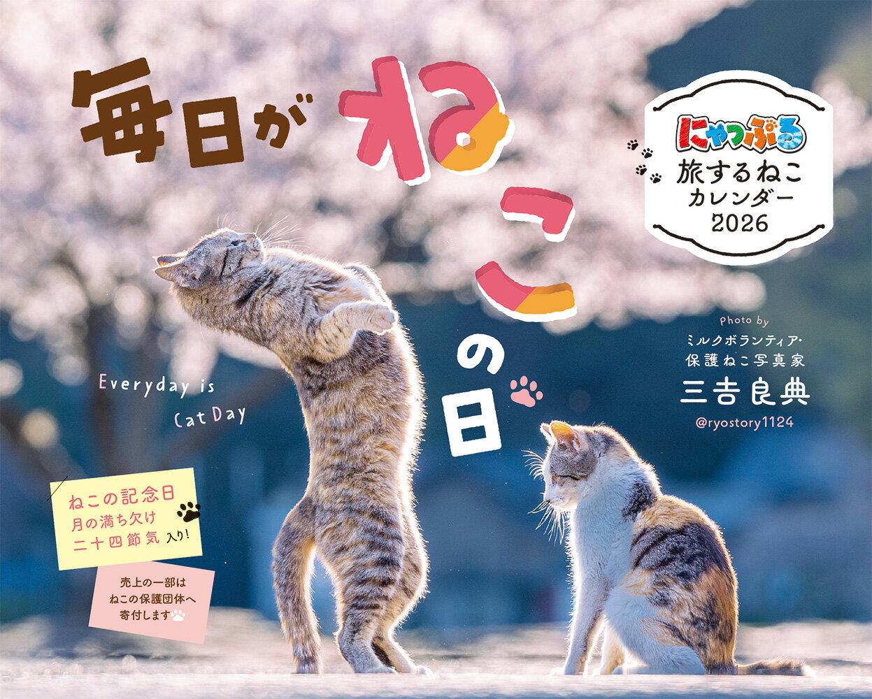 楽天市場】ハゴロモ 壁掛けカレンダー2026年 2026 Calendar にゃんたま