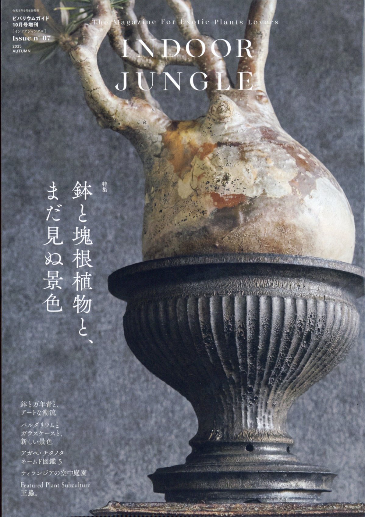 INDOOR JUNGLE No.07 2025年 10月号 [雑誌]/エムピージェー