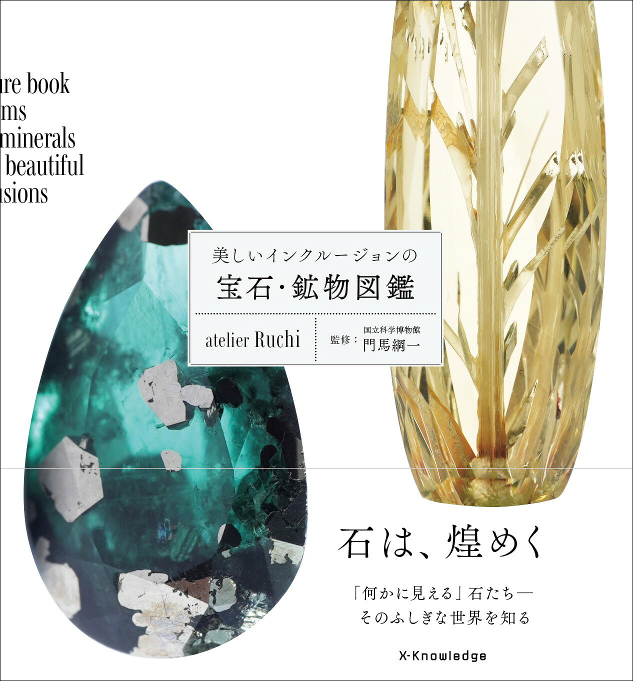 楽天市場】朝倉書店 熱河生物群化石図譜 羽毛恐竜の時代/朝倉書店/張弥