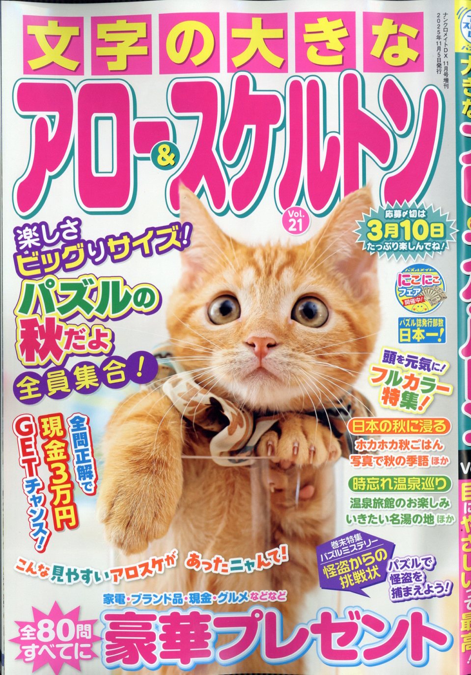 文字の大きなアロー&スケルトン 21 2025年 11月号 [雑誌]/マガジン・マガジン