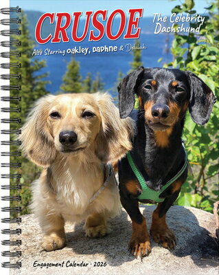 Crusoe the Celebrity Dachshund 2026 Engagement Calendar/WILLOW CREEK PR/Ryan Beauchesne