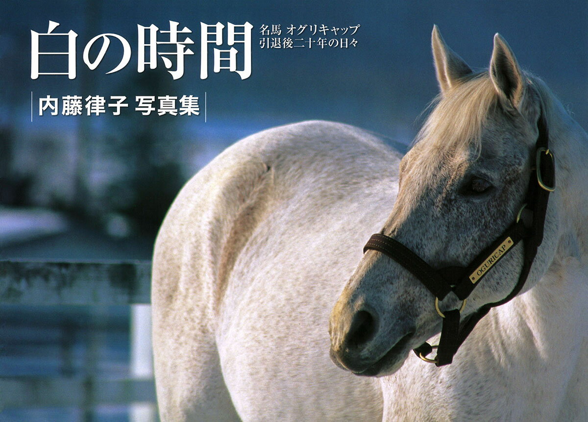 楽天市場】ぱる出版 オッズで読める競馬必勝の法則/ぱる出版/矢田部公