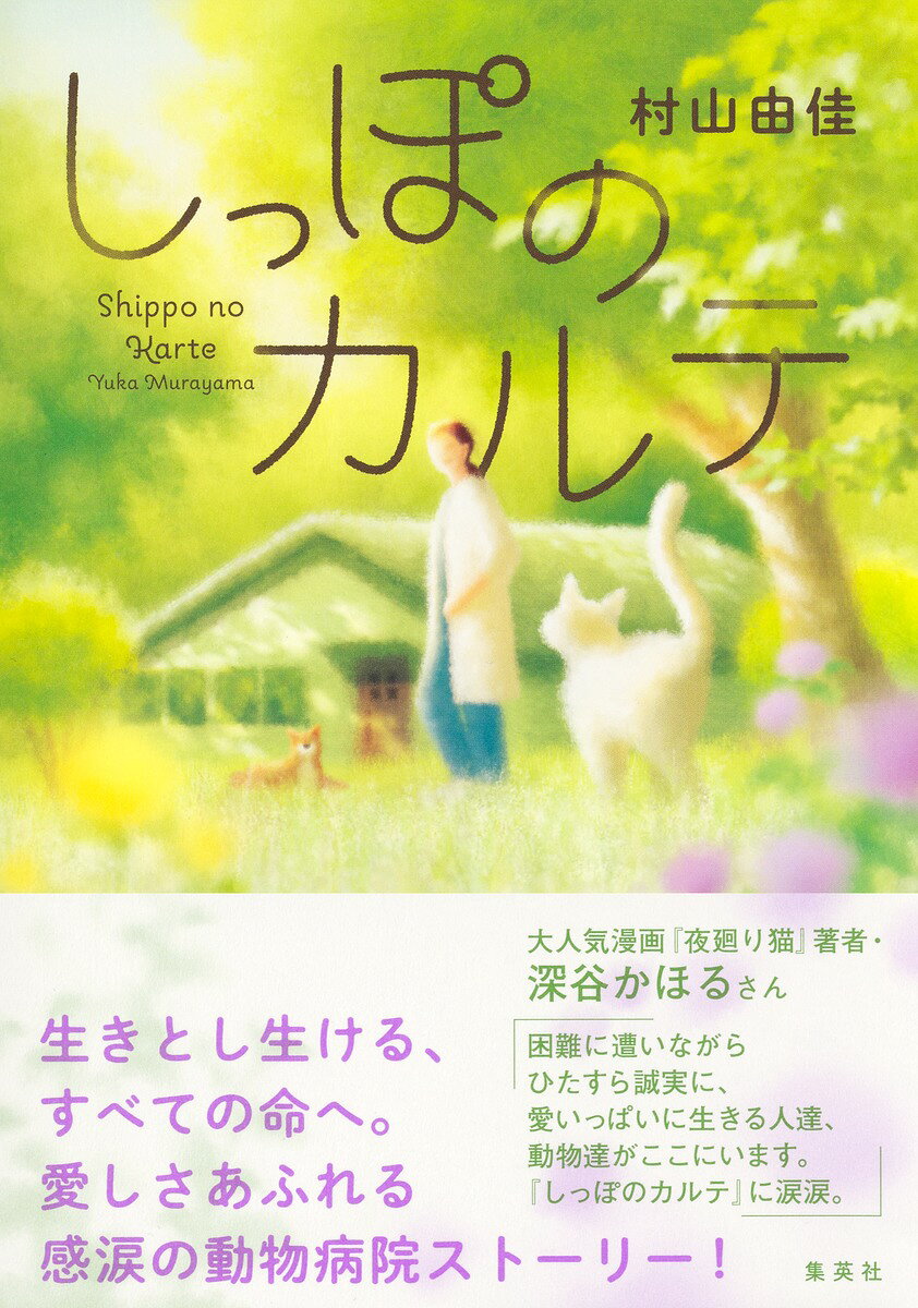 楽天市場】三一書房 故郷は地球 子ども番組シナリオ集/三一書房/佐々木