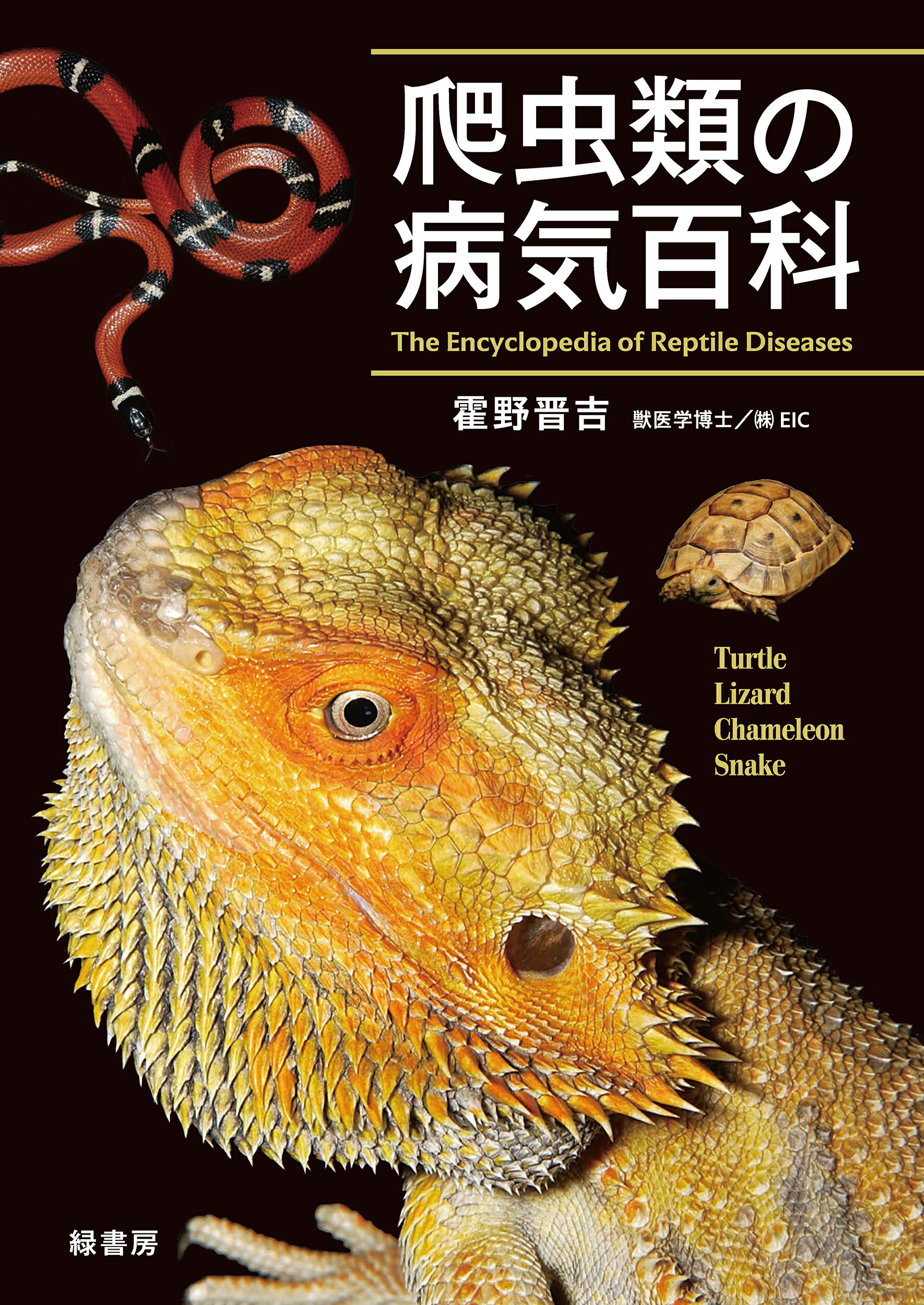 楽天市場】オーム社 マウス実験の基礎知識 第2版/オ-ム社/小出剛