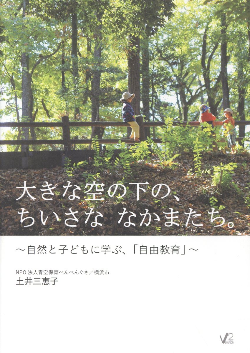楽天市場】駿台文庫 受験数学の理論 11 受験数学と教えられない数学