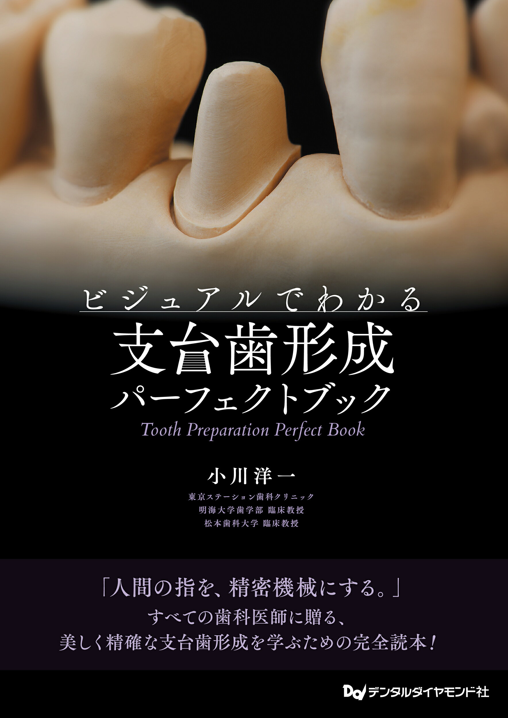 MORPHOLOGY 歯牙形態の類似性　歯科　歯科技工 楽天市場】MORPHOLOGY 歯牙形態の類似性 本/雑誌 / 片岡繁夫/著 | 価格