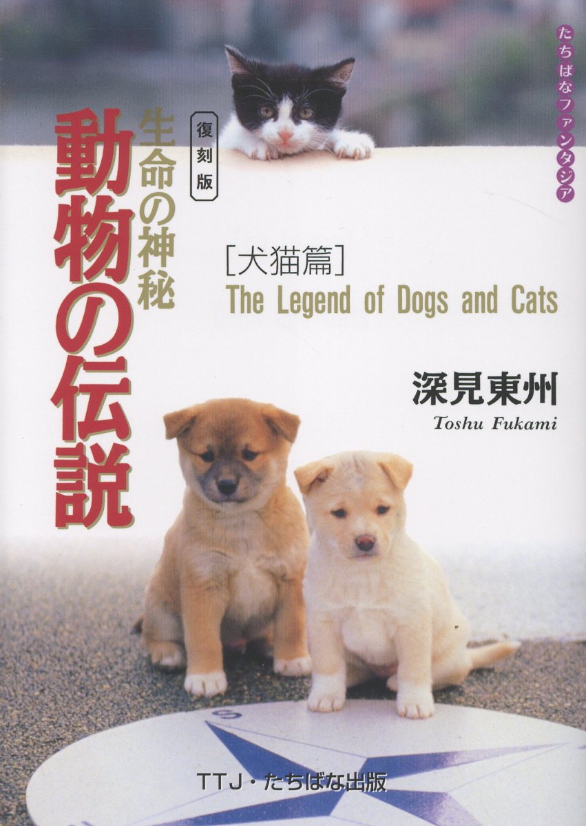 楽天市場】イラストを読む！犬と猫の臨床外科 一次診療いますぐできる