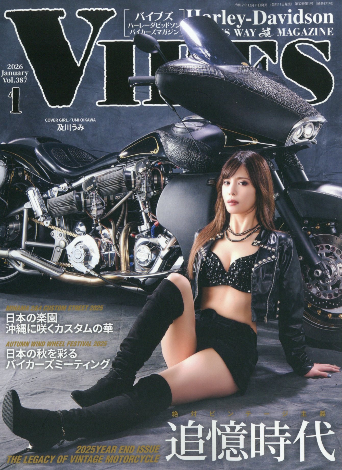 楽天市場】VIBES (バイブス) 2023年 04月号 [雑誌]/源 | 価格比較