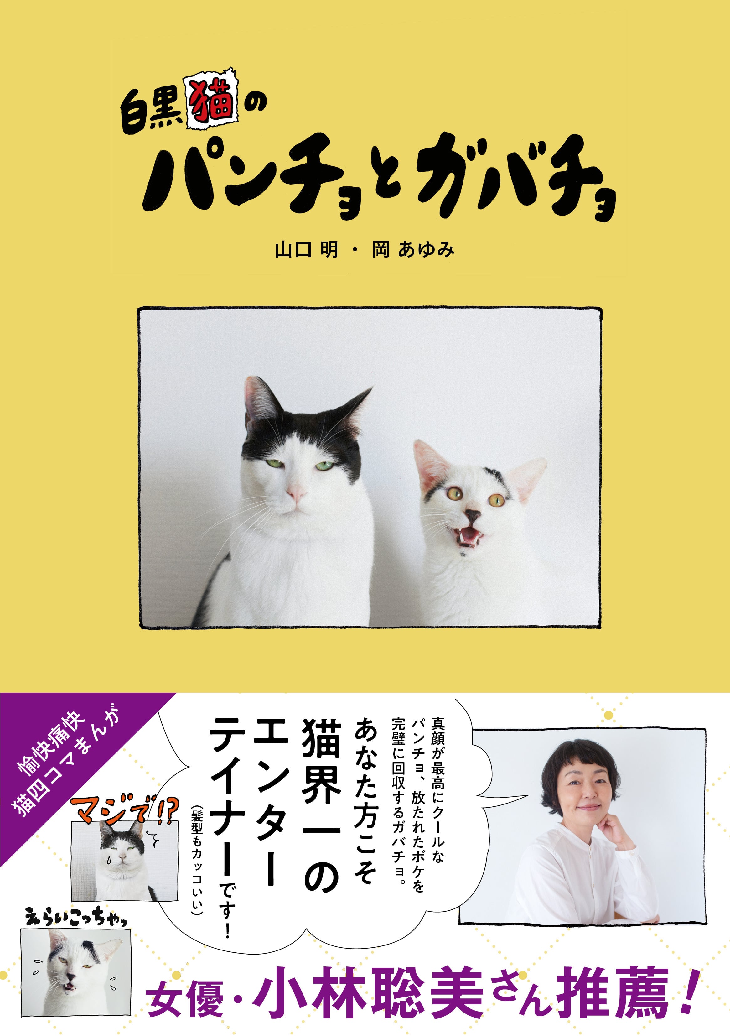 楽天市場】イラストを読む！犬と猫の臨床外科 一次診療いますぐできる