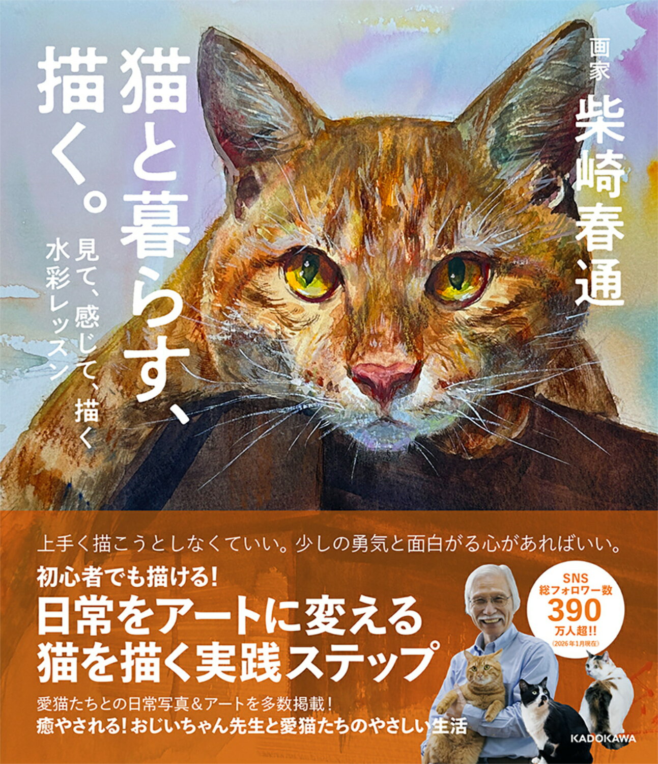 楽天市場】みすず書房 ジャコメッティ彫刻と絵画/みすず書房