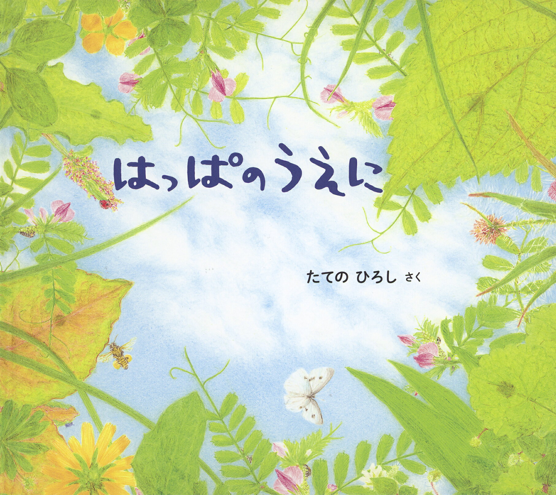 楽天市場】フレーベル館 もりのせんたくやさん/フレ-ベル館/矢部美智代 