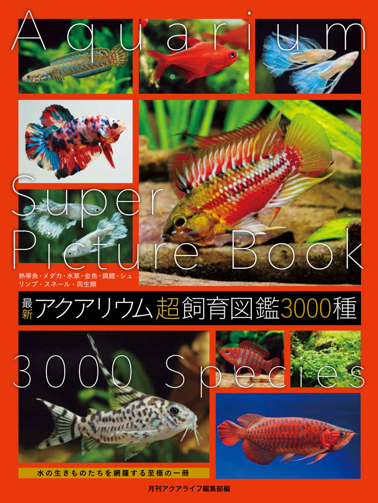 楽天市場】ピーシーズ 熱帯魚・水草3000種図鑑/ピ-シ-ズ | 価格