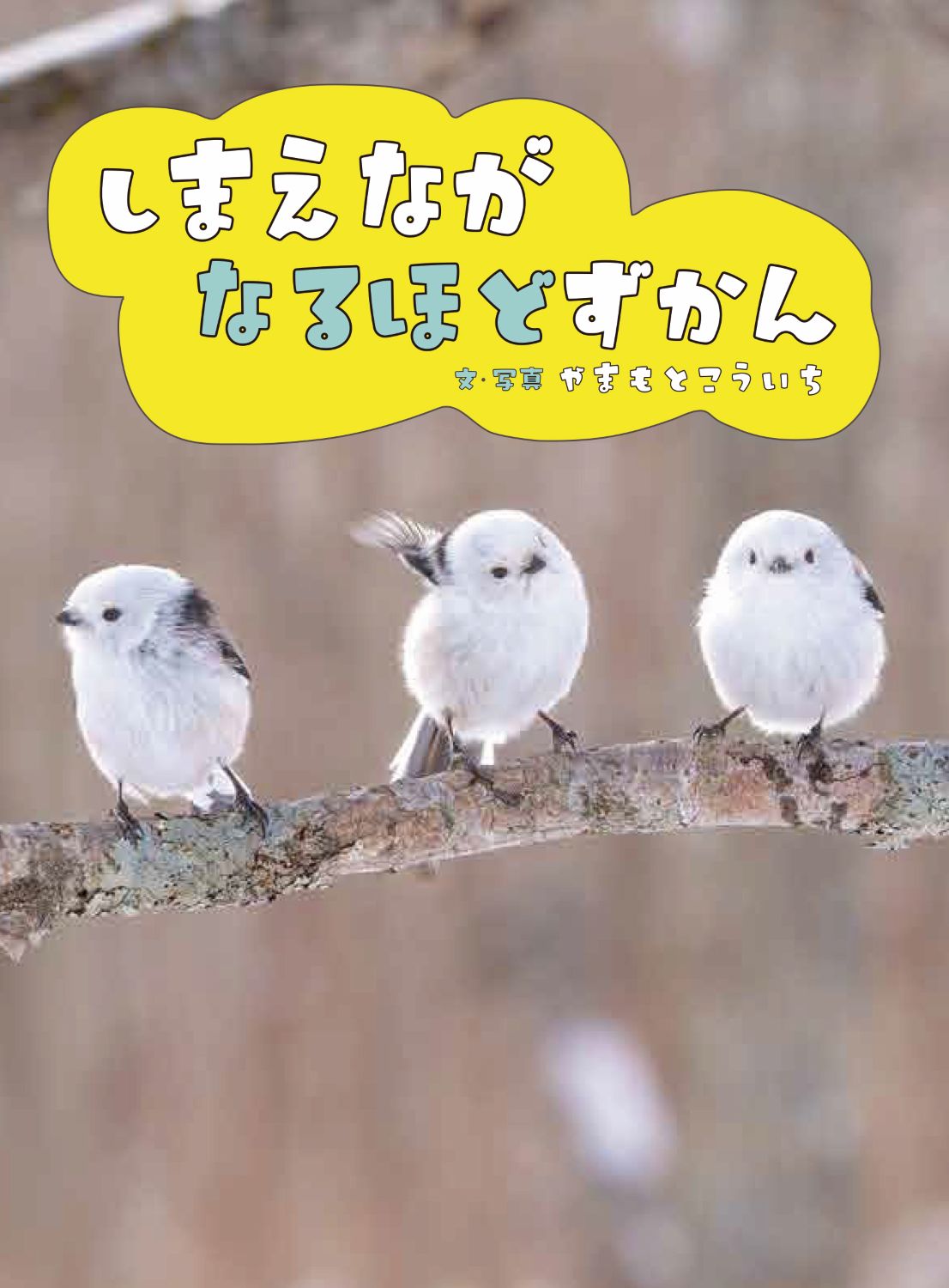 楽天市場】パロル舎 ラッコの道標 ラッコが教えてくれた多様な価値観