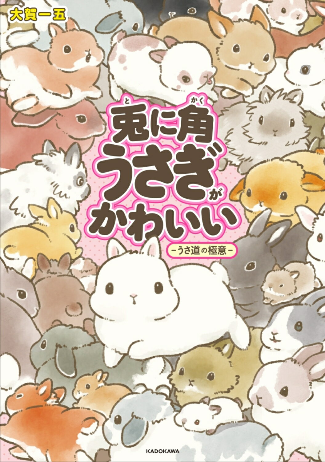 兎に角うさぎがかわいい-うさ道の極意-/ＫＡＤＯＫＡＷＡ/大賀一五