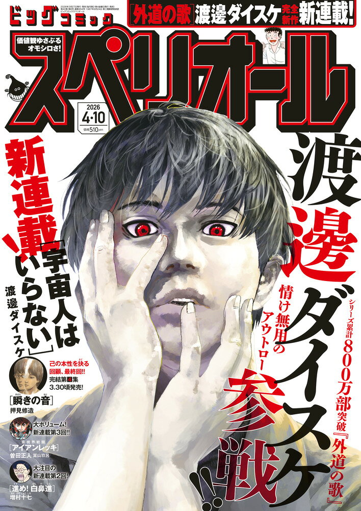 田中瞳さん表紙週刊ビッグコミックスピリッツNo.51 絶版 週刊ビッグ