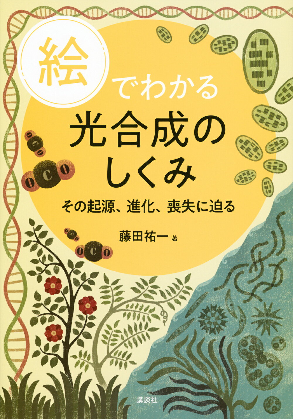 植物学ラテン語辞典　至文堂　豊国秀夫編 楽天市場】至文堂 植物学ラテン語辞典/至文堂/豊国秀夫 | 価格比較
