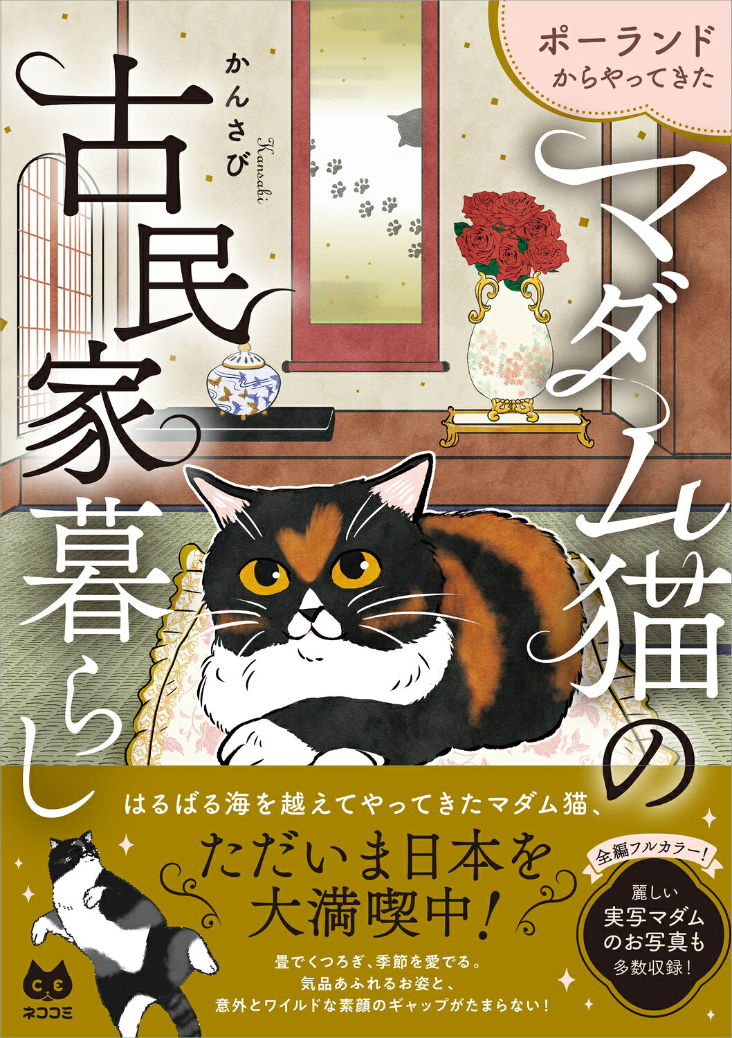 楽天市場】角川書店 バック・トゥ・キャンパス ギンガム・チェック