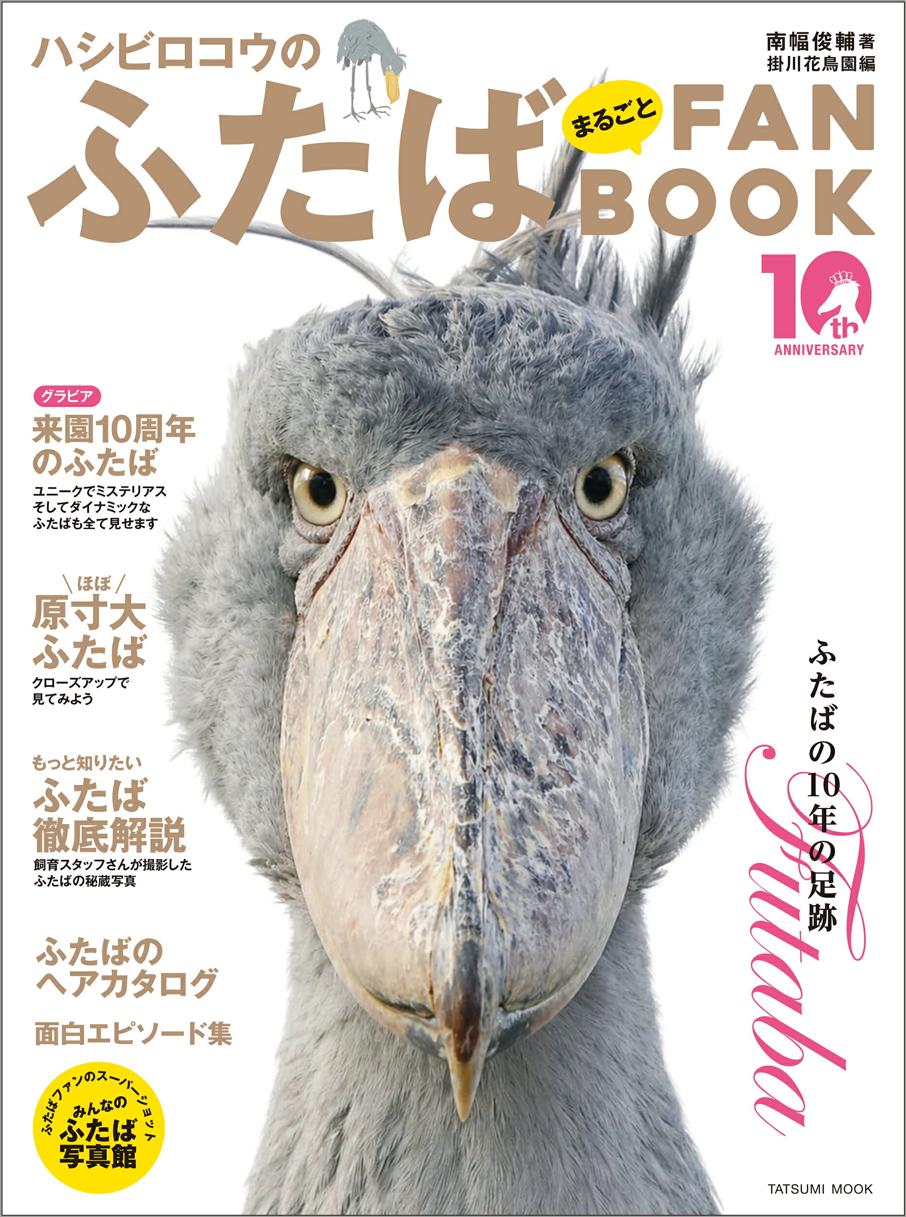 ♡ハシビ口コウ♡ページ 楽天市場】廣済堂出版 ハシビロコウのすべて 動かなくてカッコいい鳥
