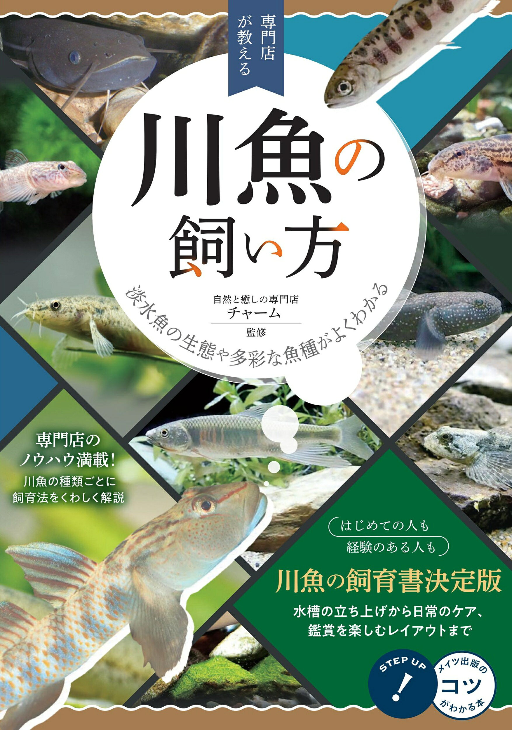 楽天市場】誠文堂新光社 やさしくわかるジュウシマツの育てかた 飼い方