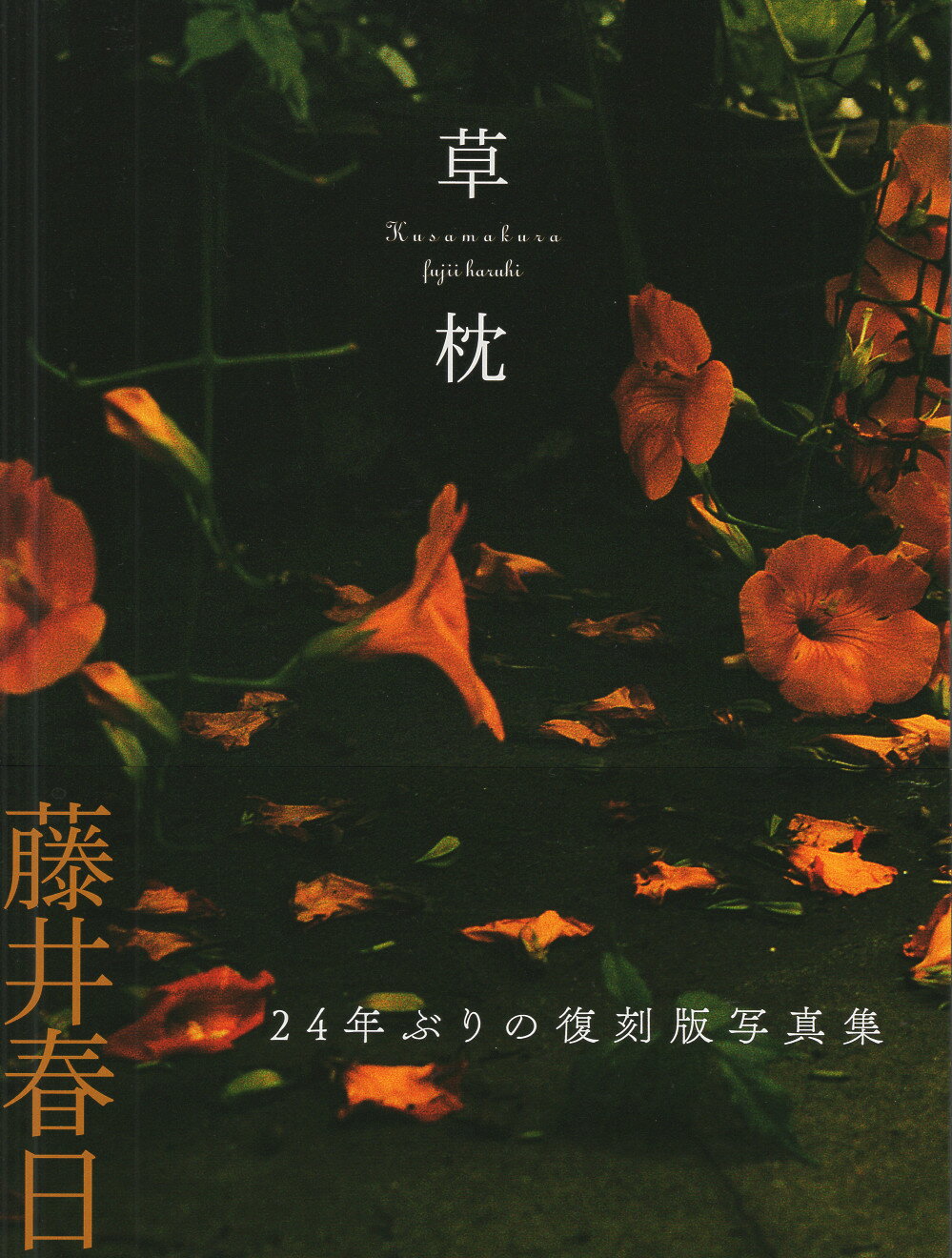 楽天市場】英知出版 Zip 優香写真集/英知出版/渡辺達生 | 価格比較