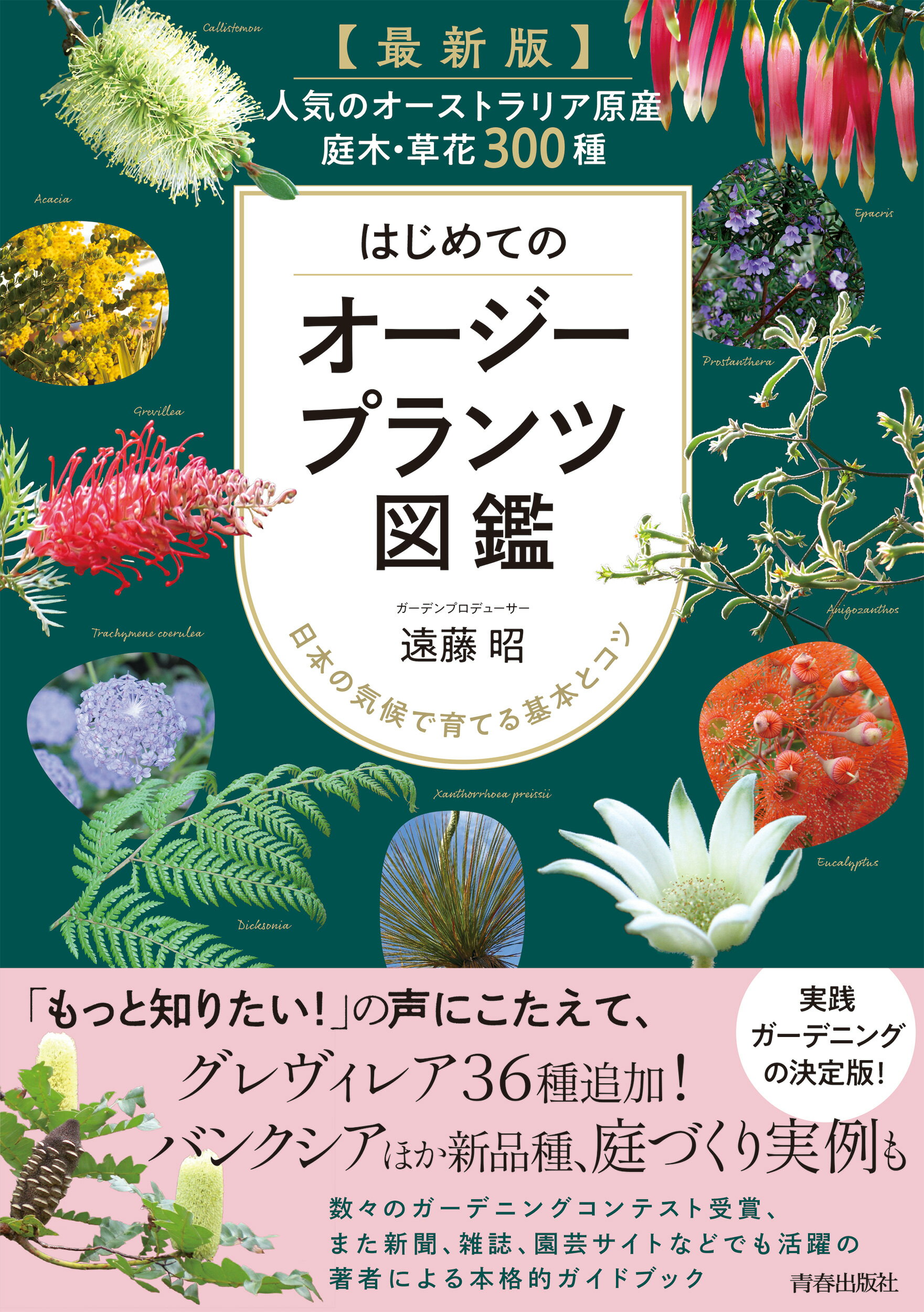 楽天市場】星雲社 辻勲原種カトレアの世界 南米への熱き想い/草土出版