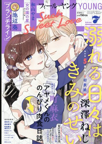 楽天市場】メガミマガジンRX COLLECTION VOL.3 2025年 05月号 [雑誌