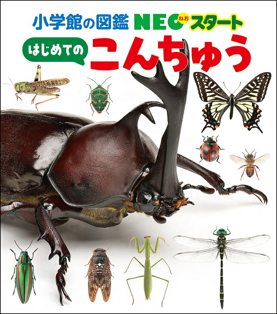 楽天市場】理論社 まんが世界ふしぎ物語（10巻セット）/理論社