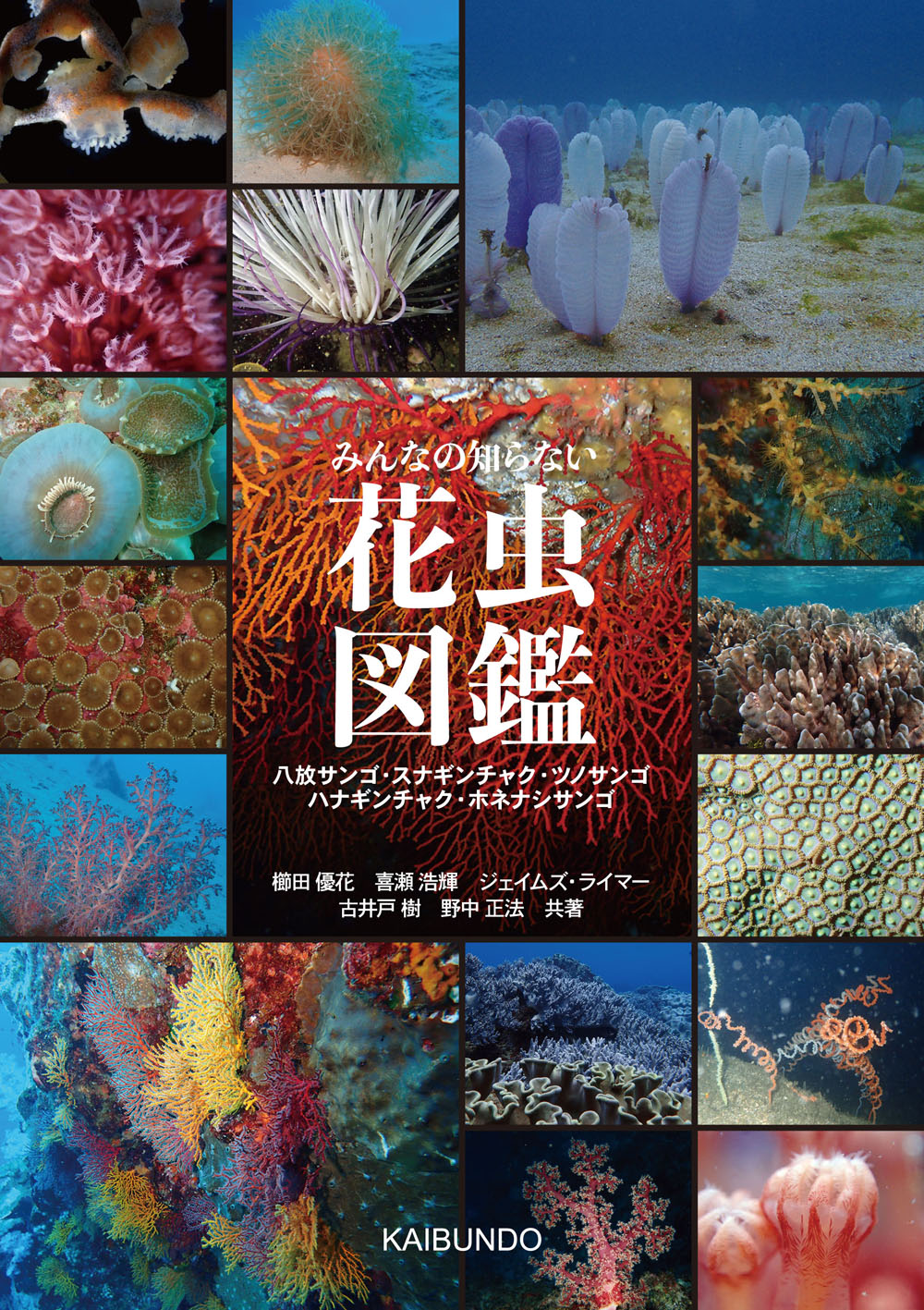 楽天市場】昆虫文献六本脚 世界のアゲハチョウ図説