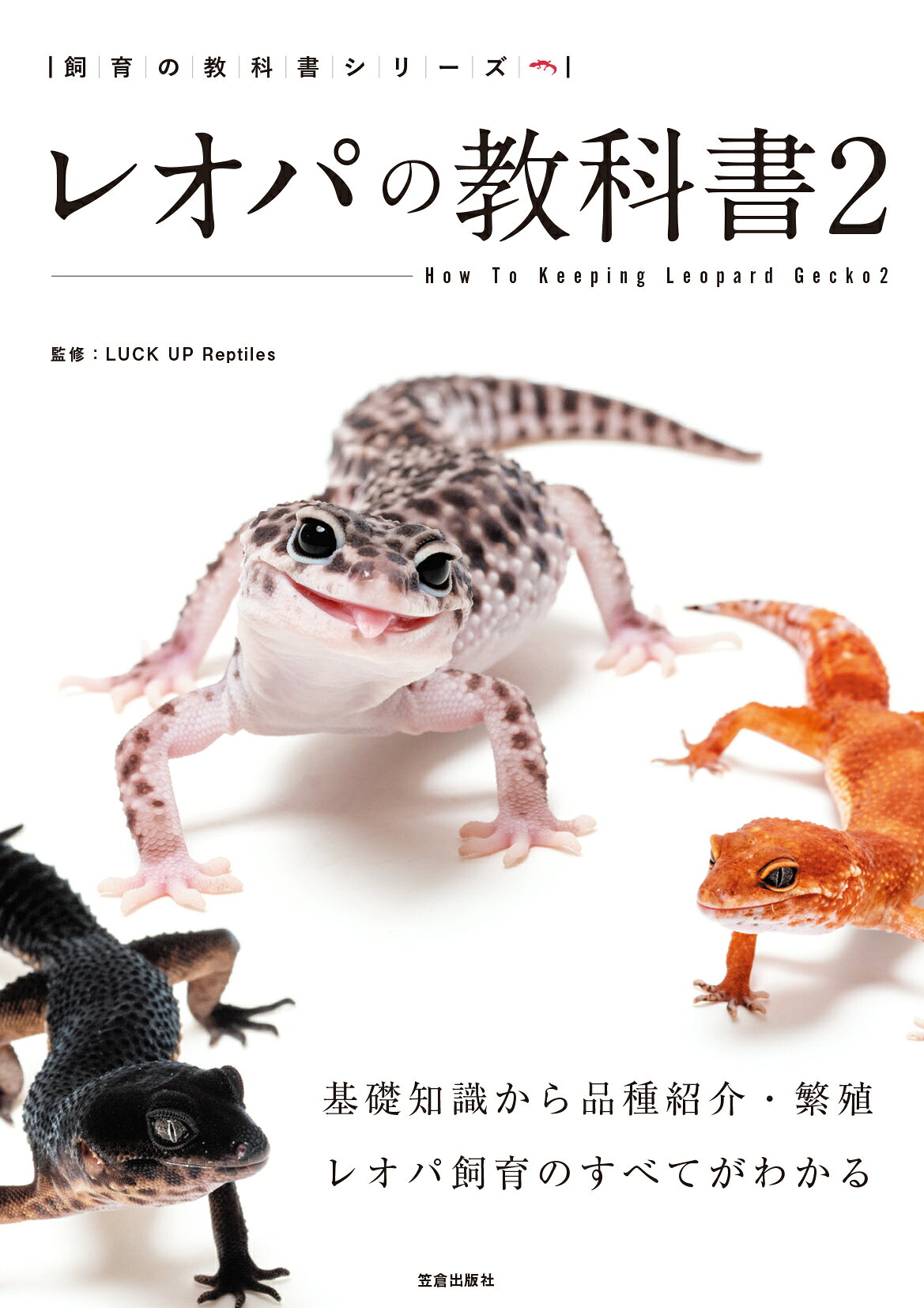 楽天市場】誠文堂新光社 やさしくわかるジュウシマツの育てかた 飼い方