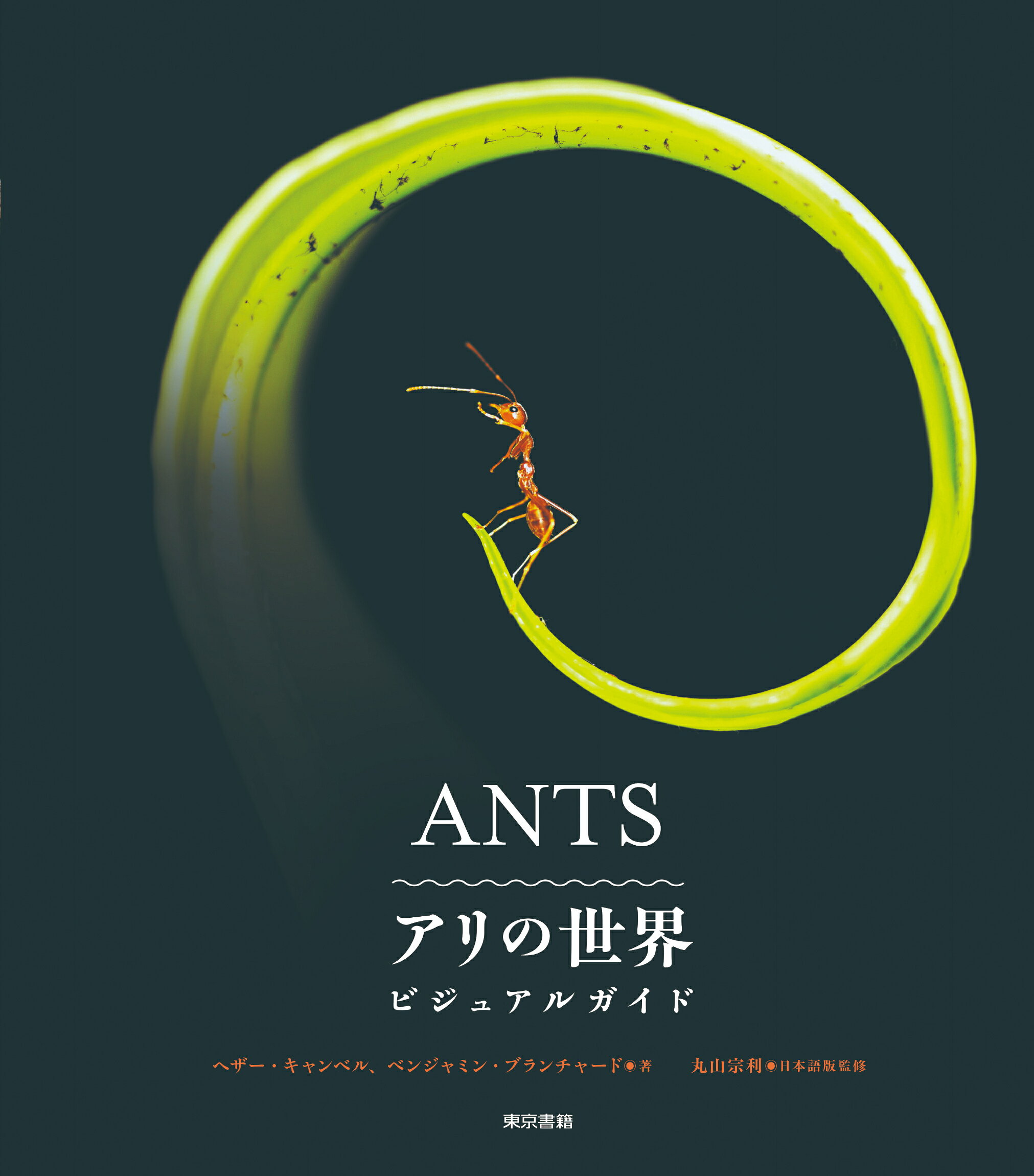 楽天市場】北隆館 原色日本動物図鑑/北隆館 | 価格比較 - 商品価格ナビ